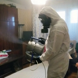 Дезинфекция от клопов в Свердловском
