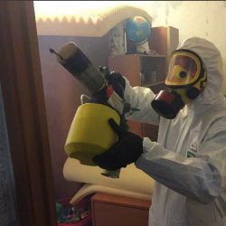 Уничтожение клопов в квартире. Свердловский
